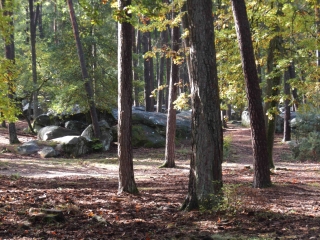 CHEMIN DE COMPOSTELLE DE PARIS A VEZELAY - ETAPE 3-seine-et-marne