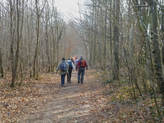 CHEMIN DE COMPOSTELLE DE PARIS A VEZELAY - ETAPE 3-seine-et-marne