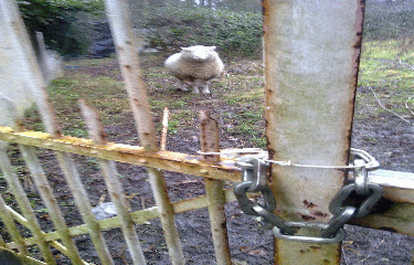 PR DE BOIS-LE-ROI-seine-et-marne