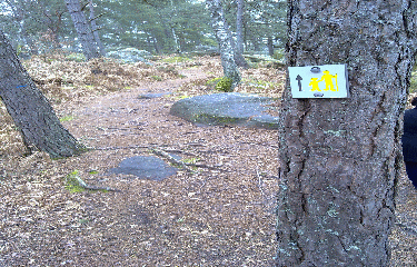 BALADE DE LA SOLLE-seine-et-marne