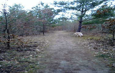 BALADE DE LA SOLLE-seine-et-marne