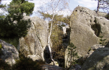 GR13 - PARTIE 1-seine-et-marne