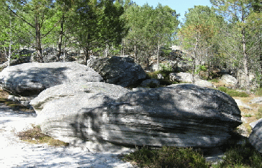 GR13 - PARTIE 1-seine-et-marne