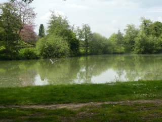 NOISIEL ET L EMPIRE MENIER - LOGNES ET SES ETANGS - UNE RANDO NATURE ET CULTURE-seine-et-marne