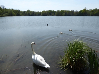 DE BUSSY SAINT-GEORGES A NOISIEL-seine-et-marne