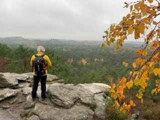 LE CIRCUIT DES 25 BOSSES EN FORET DOMANIALE DES TROIS PIGNONS-seine-et-marne
