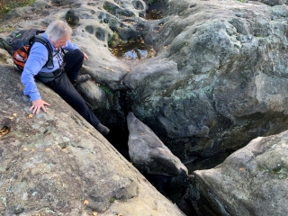 LE CIRCUIT DES 25 BOSSES EN FORET DOMANIALE DES TROIS PIGNONS-seine-et-marne