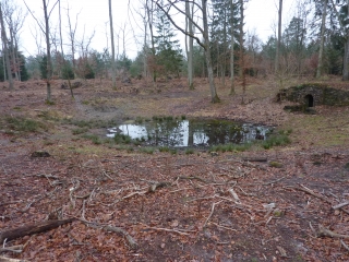 CIRCUIT DES MARES-seine-et-marne