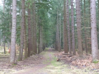 CIRCUIT DES MARES-seine-et-marne