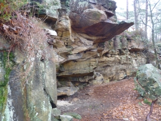 MASSIF DE FONTAINEBLEAU-seine-et-marne