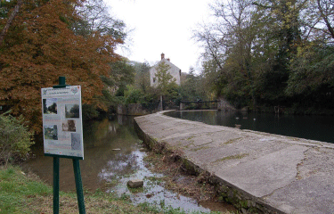 CRECY-LA-CHAPELLE-seine-et-marne
