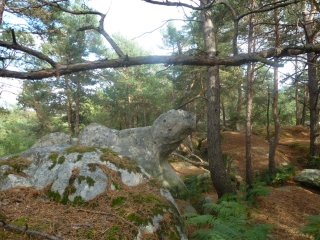 ROCHER DE BOULIGNY-seine-et-marne