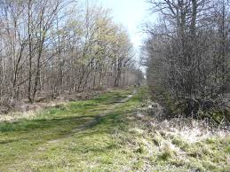 DEPUIS VAUX-LE-PENIL EN MODE VELO-seine-et-marne