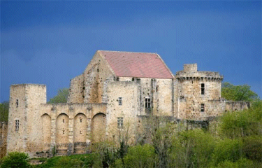 FORET DE LA MADELEINE-yvelines