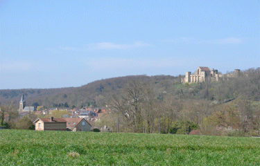 FORET DE LA MADELEINE-yvelines