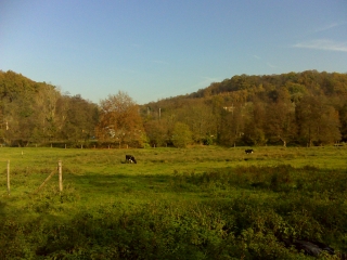 VIROFLAY - LOGES EN JOSAS-yvelines