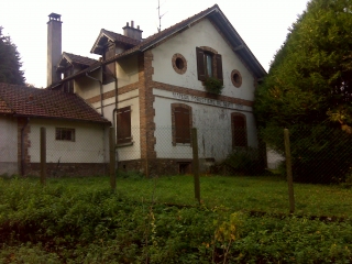 FORET DES FAUSSES-yvelines