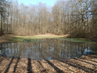 SAINT-LEGER-EN-YVELINES-yvelines