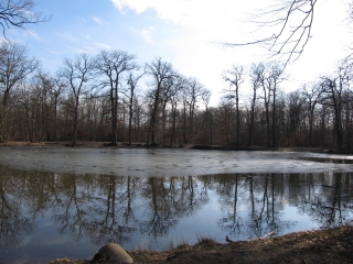 MARE AUX CANES-yvelines