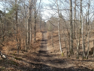 ETANG DE HOLLANDE - ROMPU-yvelines
