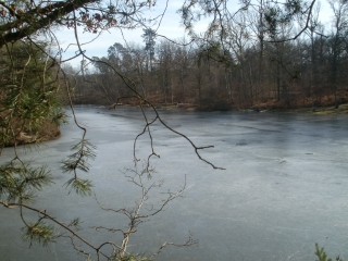 ETANG DE HOLLANDE - ROMPU-yvelines