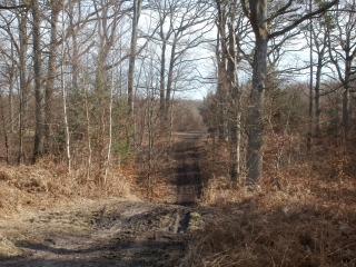 ST GERMAIN DEPUIS POISSY-yvelines