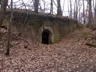 ETANGS DE LA FORET DE VERSAILLES -yvelines