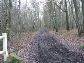 AULNAY-SUR-MAULDRE-yvelines