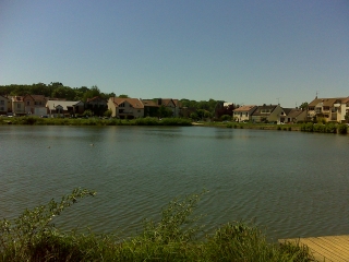 BIENVENUE EN FORET-yvelines