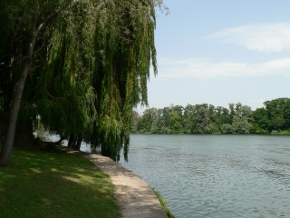 DE POISSY A LA SEINE-yvelines