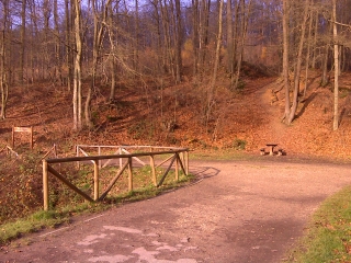 FORET DE BUC-yvelines