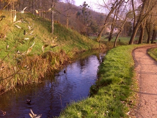 FORET DE BUC-yvelines