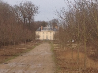 FORET DE SAINT GERMAIN (2)-yvelines