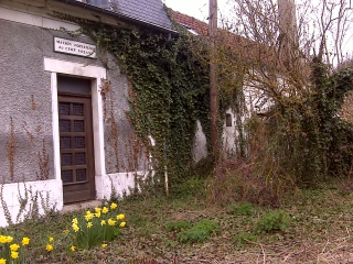 FORET DE VERSAILLES (2)-yvelines