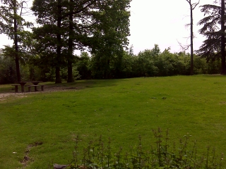 FORET DE VERSAILLES (2)-yvelines