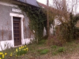 FORET DE VERSAILLES (2)-yvelines