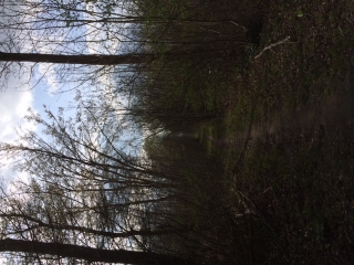 AUTOUR DU GOLF DE ST GERMAIN-yvelines