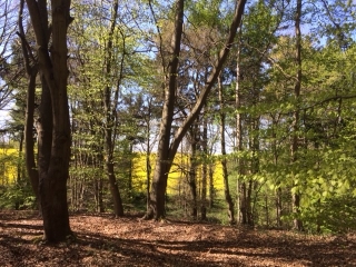 CHAMBOURCY A FEUCHEROLLES-yvelines