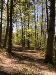 CHAMBOURCY A FEUCHEROLLES-yvelines