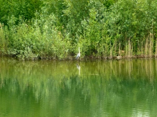 PAVILLON DE LA MUETTE - ETANG DU CORRA-yvelines
