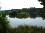 PAVILLON DE LA MUETTE - ETANG DU CORRA-yvelines