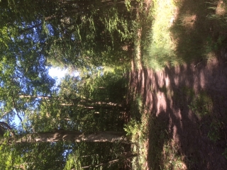 ETANG DU CORRA - ETOILE DU BOUT DU MONDE-yvelines