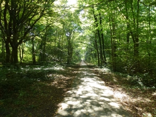 ST-GERMAIN-EN-LAYE - SARTROUVILLE-yvelines