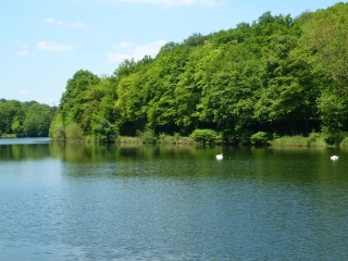 SAINT-CYR L ECOLE - GARE DE VERSAILLES -yvelines