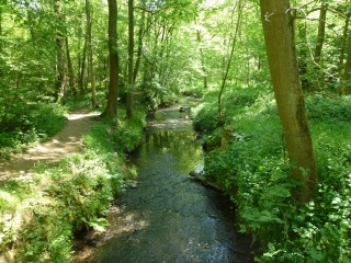 SAINT-CYR L ECOLE - GARE DE VERSAILLES -yvelines