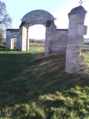 DANS LA FORET DE SAINT-GERMAIN-yvelines