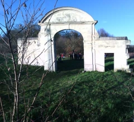 DANS LA FORET DE SAINT-GERMAIN-yvelines
