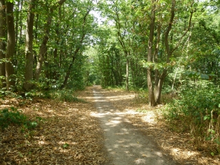 ENTRE FORET ET ETANGS-yvelines