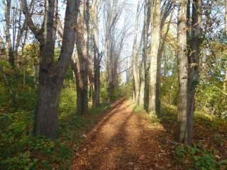 DE MAISONS-LAFFITTE A SARTROUVILLE PAR LES RIVES DE SEINE-yvelines