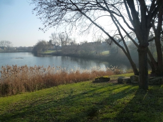 MANTES-LA-JOLIE-yvelines